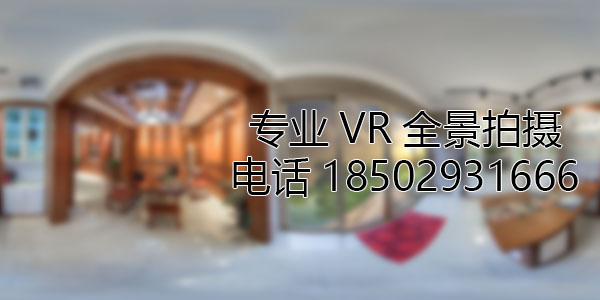 三角镇VR全景技术在未来可能的发展方向和应用领域?